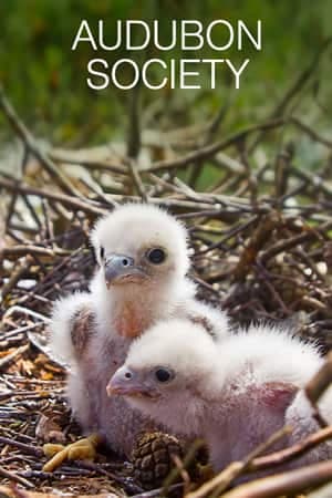 National Audubon Society