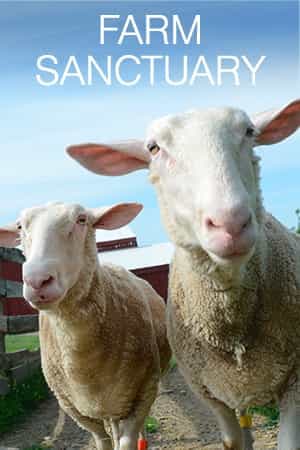 Farm Sanctuary