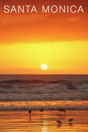Santa Monica Beach