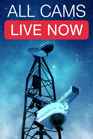 Currently Live