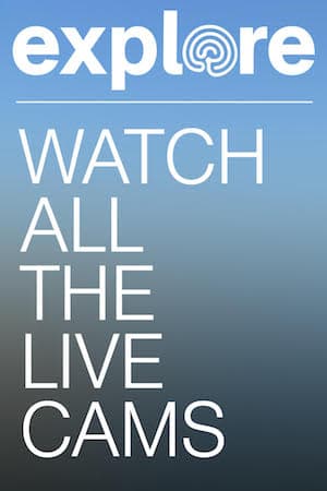 Explore All Cams