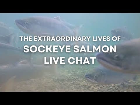 The Extraordinary Lives of Sockeye Salmon | Brooks Live Chat