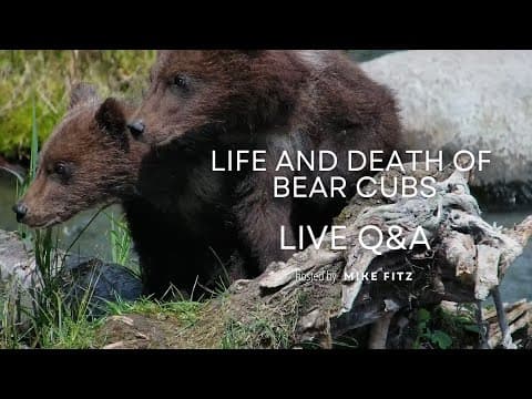 Life and Death of Bear Cubs Live Q&A  | Brooks Live Chat