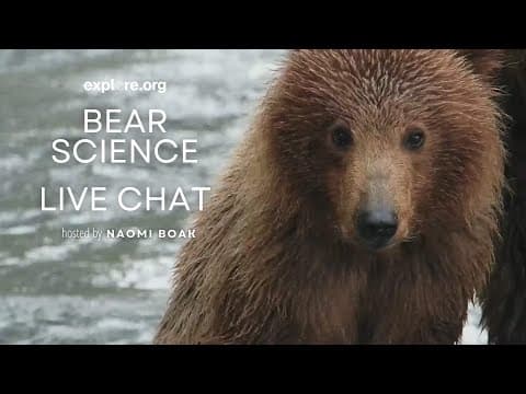 Bear Science | Brooks Live Chat