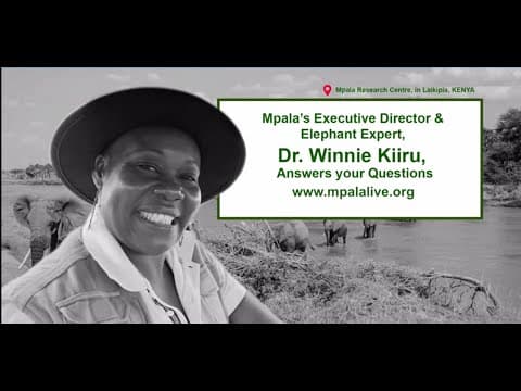In Conversation With an Elephant Expert | Explore Live Events