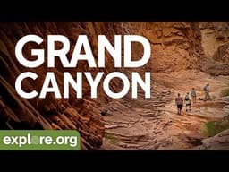 Grand Canyon | Explore Films