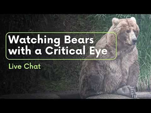 Is That Bear Happy, Sad, or Neither? Watching Bears with a Critical Eye | Brooks Live Chat