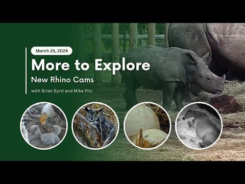 New Rhino Cams | More to Explore Live Show
