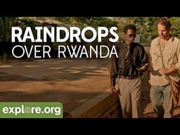 Raindrops over Rwanda | Explore Films