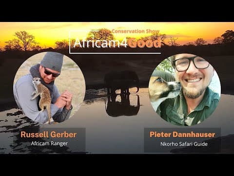 Africam4Good | Wildlife at Nkorho with Pieter Dannhauser