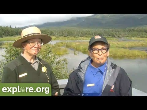 Sows and Cubs of Brooks River - Live Chat