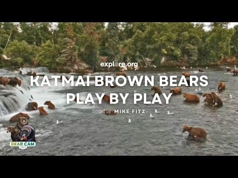 Play by Play 9.7.23 | Brooks Live Chat