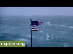 Witness Hurricane Florence's Arrival on Explore.org FryingPan Cams!