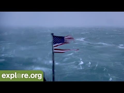 Witness Hurricane Florence's Arrival on Explore.org FryingPan Cams!