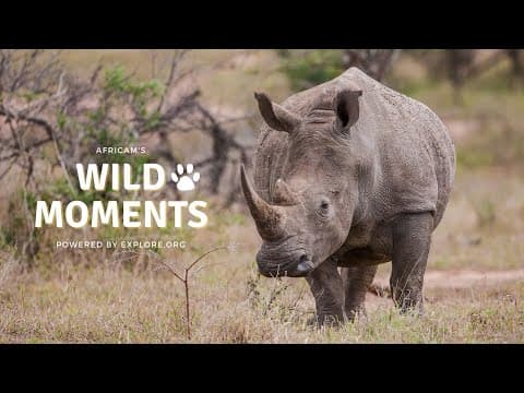Wild Moments | 9.22.22