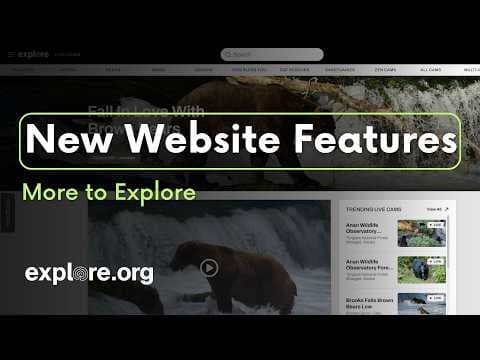 New Website Features You Don't Want to Miss | More to Explore