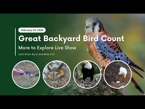 Great Backyard Bird Count | More to Explore Live Show
