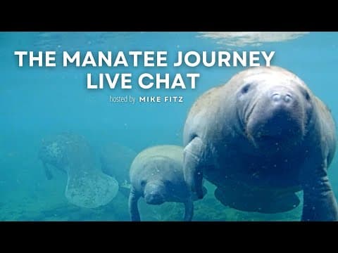 The Manatee Journey | Explore Live Events