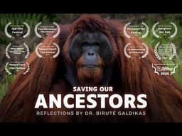 Saving Orangutans From Extinction | Lifeworks of Dr. Biruté Galdikas
