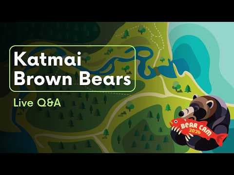 LIVE Q&A 8.31.26 | Brooks Live Chat