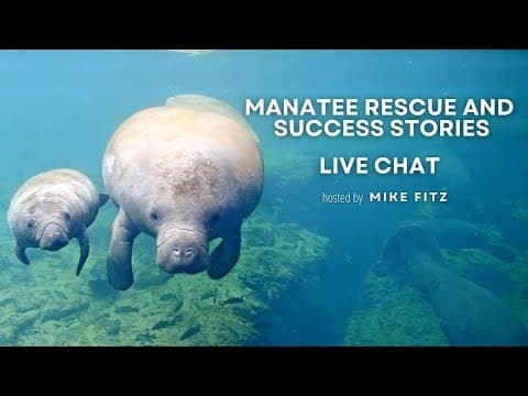 Manatee Rescue and Success Stories | Explore Live Events