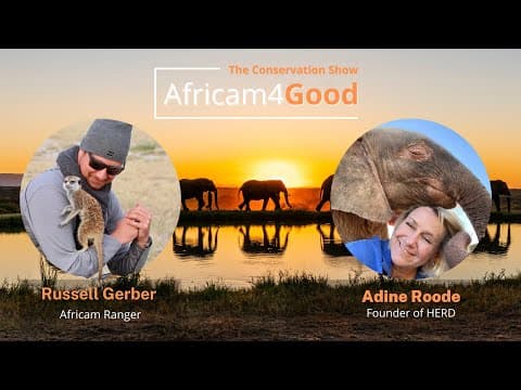 Africam4Good | Elephant Conservation with Adine Roode