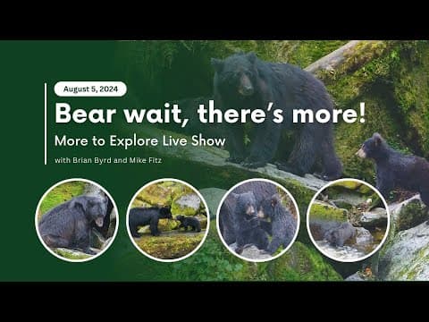 Bear wait, there's more! | More to Explore Live Show