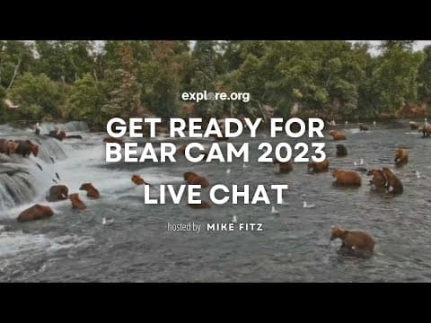 Get Ready for Bear Cam 2023! | Explore Live Events