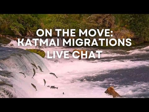 On the Move: Katmai Migrations | Brooks Live Chat