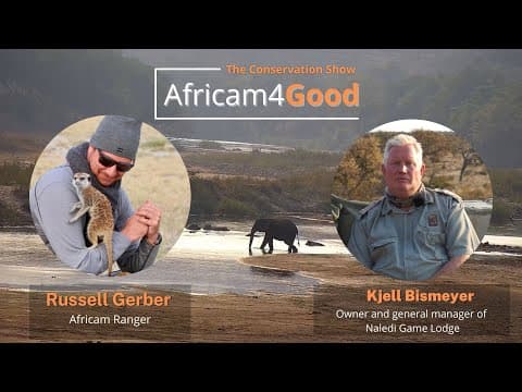 Africam4Good | Benefits of Live Cams at Balule Game Reserve