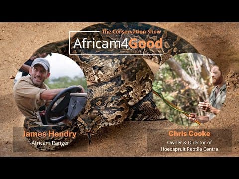 Reptile Conservation | Africam4Good