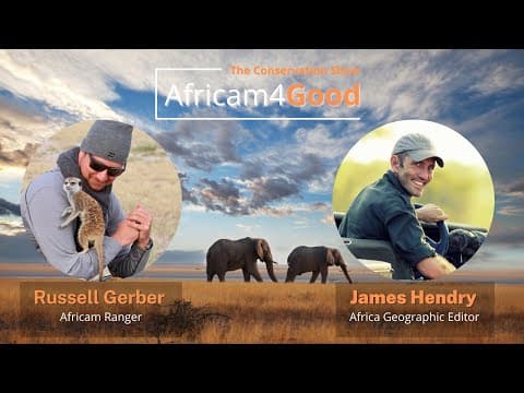 Africam4Good | World Elephant Day