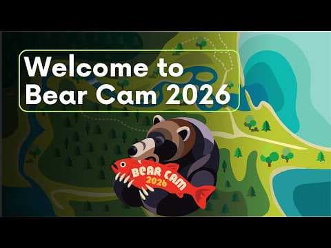 Welcome to Bear Cam 2026 | Brooks Live Chat