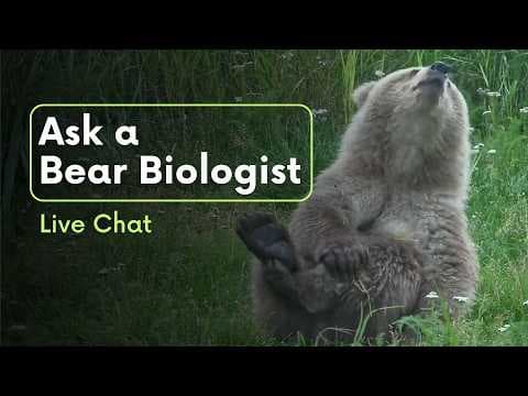 Ask a Bear Biologist | Brooks Live Chat
