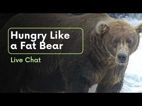 Hungry Like a Fat Bear | Brooks Live Chat