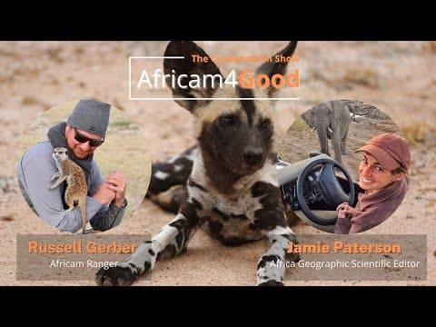 Africam4Good | Wild Dog Day