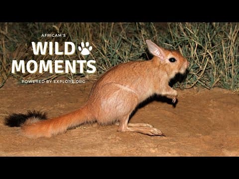Wild Moments | 9.1.22