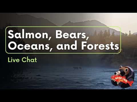 Salmon, Bears, Oceans, and Forests | Brooks Live Chat