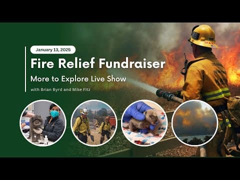 Fire Relief Fundraiser | More to Explore Live Show
