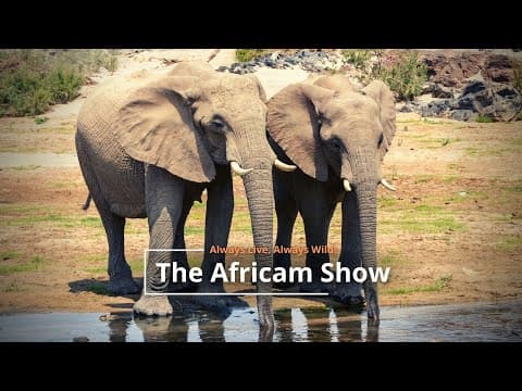 The Africam Show | 10.25.22