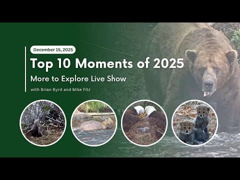 Top 10 Moments of 2025 | More to Explore Live Show