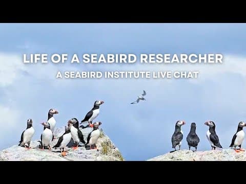 Life of a Seabird Researcher | Explore Live Events