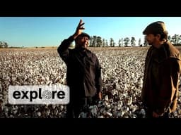 Blessissippi - Super Chikan on Cotton Fields