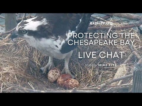 Protecting the Chesapeake Bay | Explore Live Events