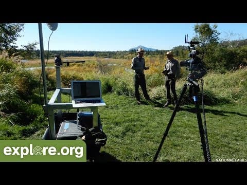 Brown Bears Tech Talk - Live Chat