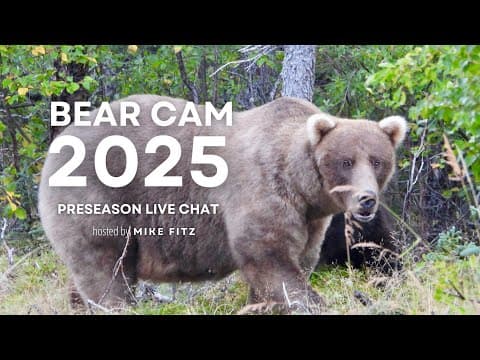 Get Ready For Bear Cam 2025! | Brooks Live Chat