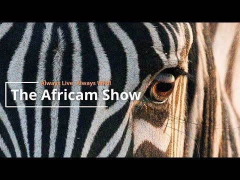 The Africam Show 7.5.22