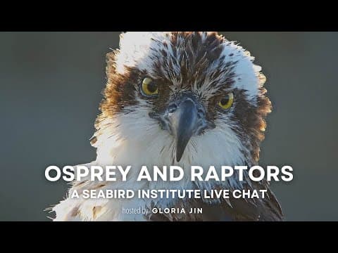 Osprey and Raptors | Explore Live Events