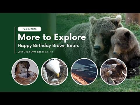 Happy Birthday Brown Bears | More to Explore Live Show