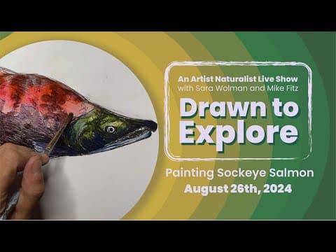 Painting Sockeye Salmon | Drawn to Explore